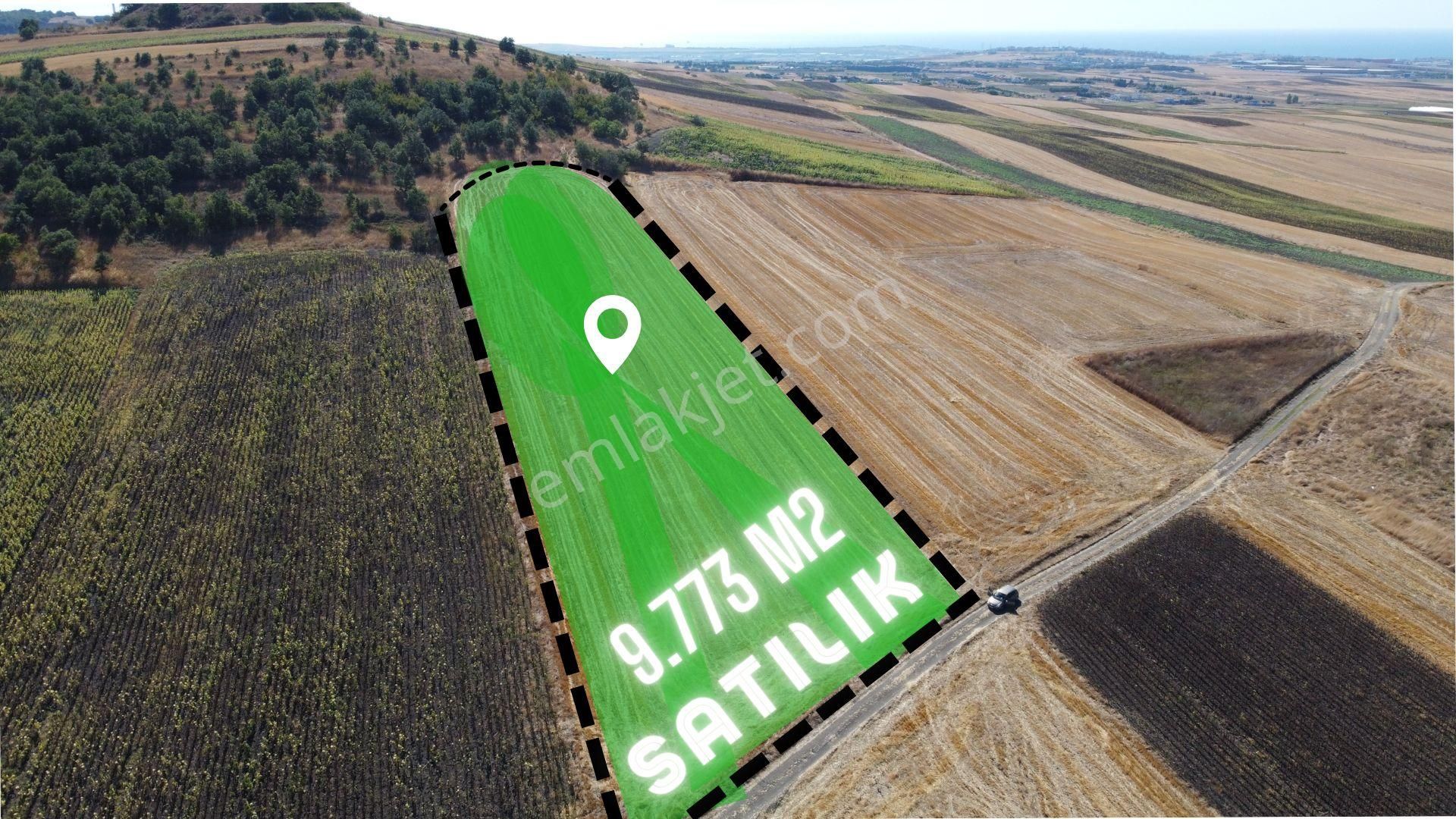 Silivri Değirmenköy Kadastral Yola Cephe 9.773 M2 Satılık Tarla - Görsel 3