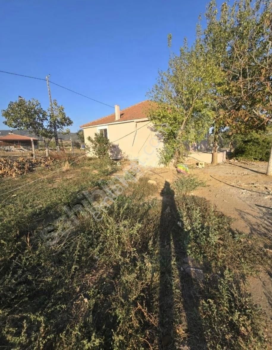 Tire Arslan Emlaktan Derebaşında Satılık Yol Kenarı Tarla - Görsel 6