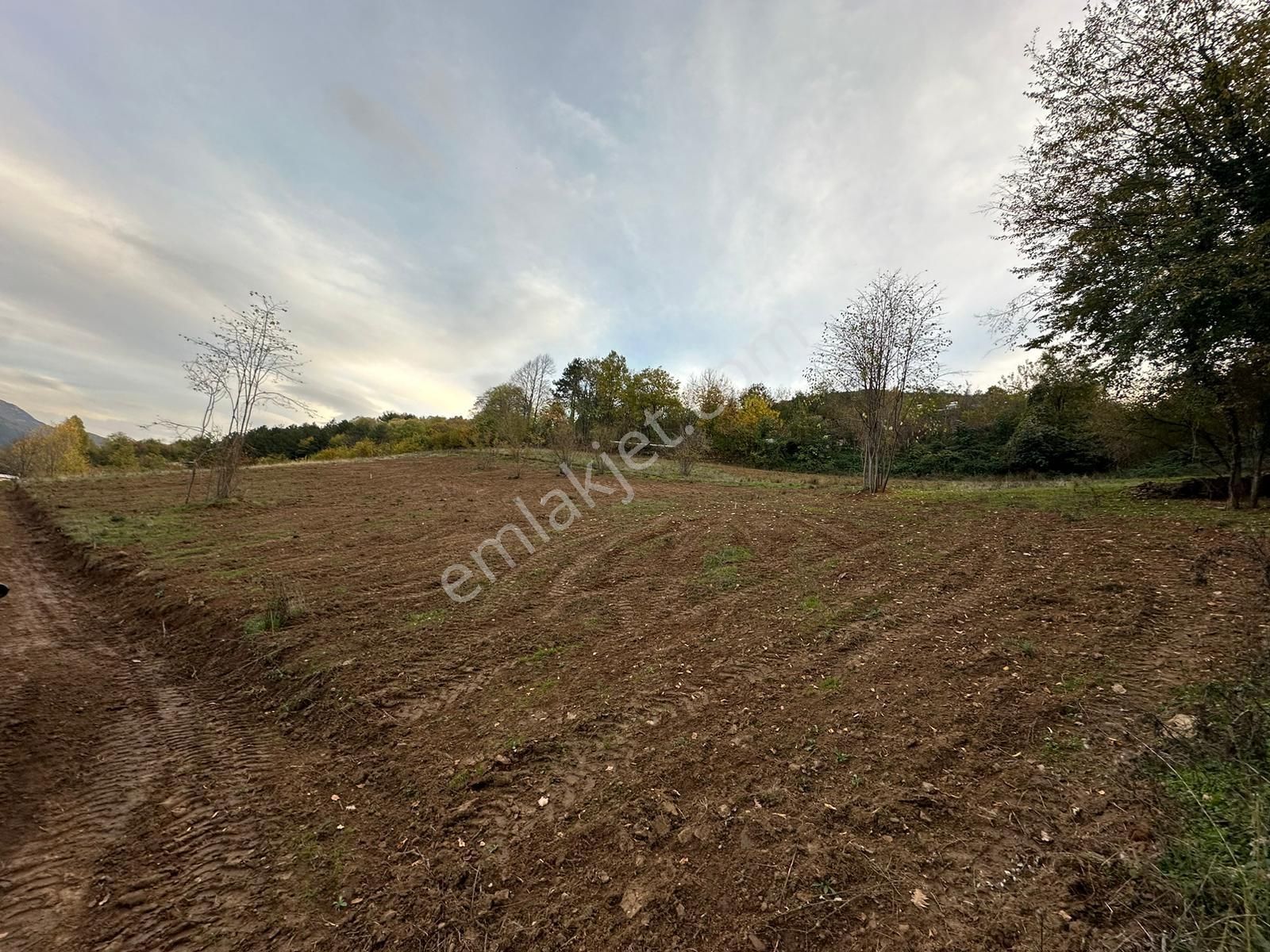 Dialog Altun'dan Kestel/derekızık 374 M2 Hobi Bahçesi - Görsel 5