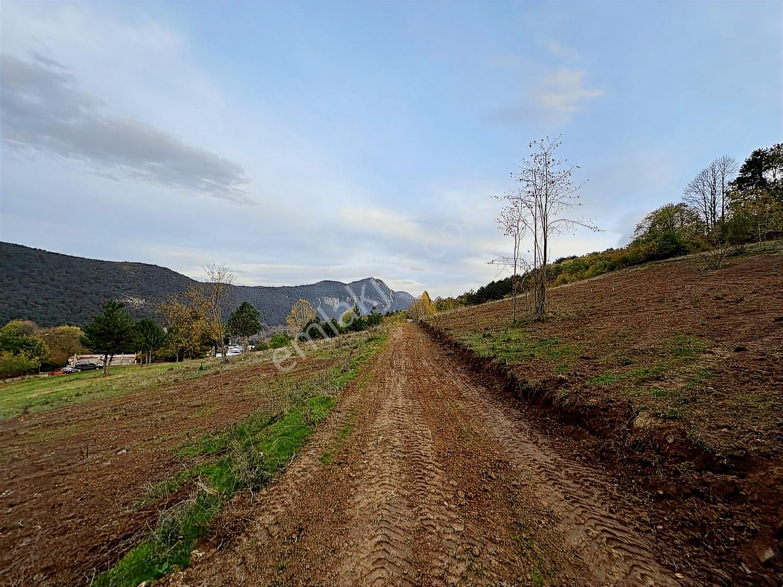 Dialog Altun'dan Kestel/derekızık 374 M2 Hobi Bahçesi - Görsel 9