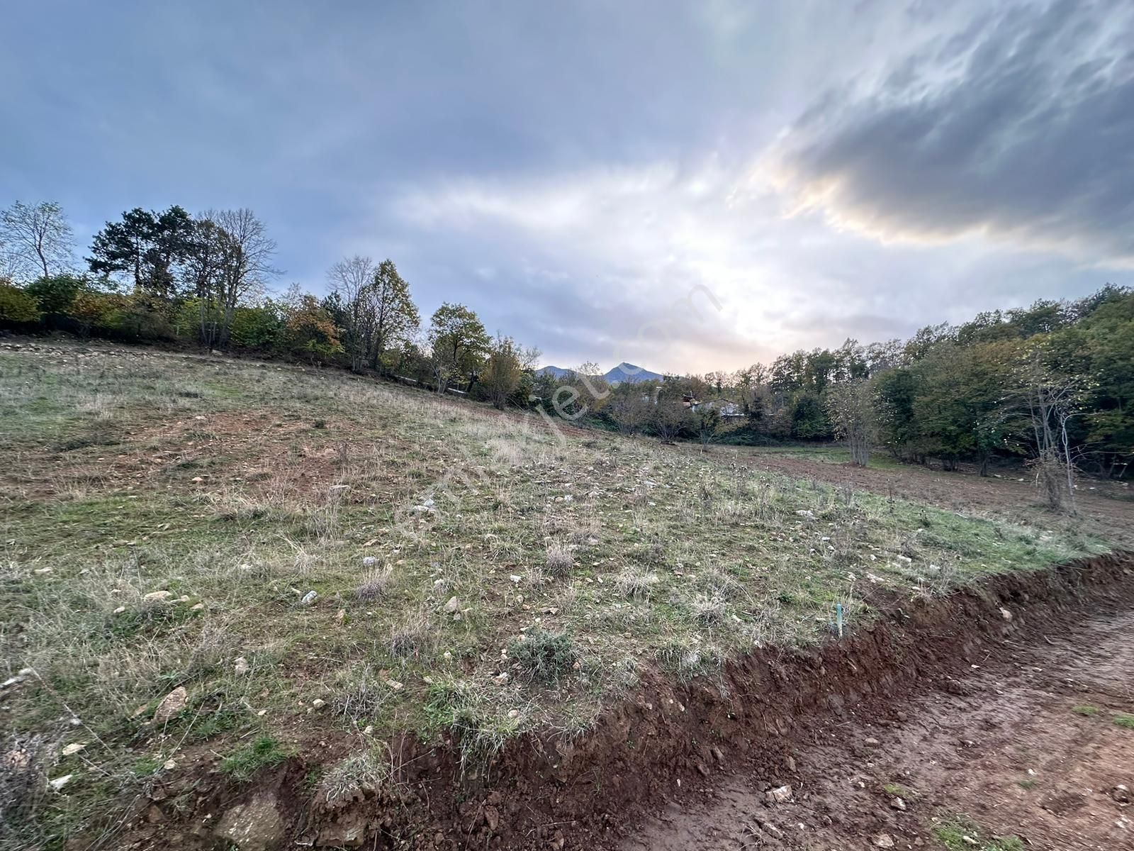 Dialog Altun'dan Kestel/derekızık 374 M2 Hobi Bahçesi - Görsel 7