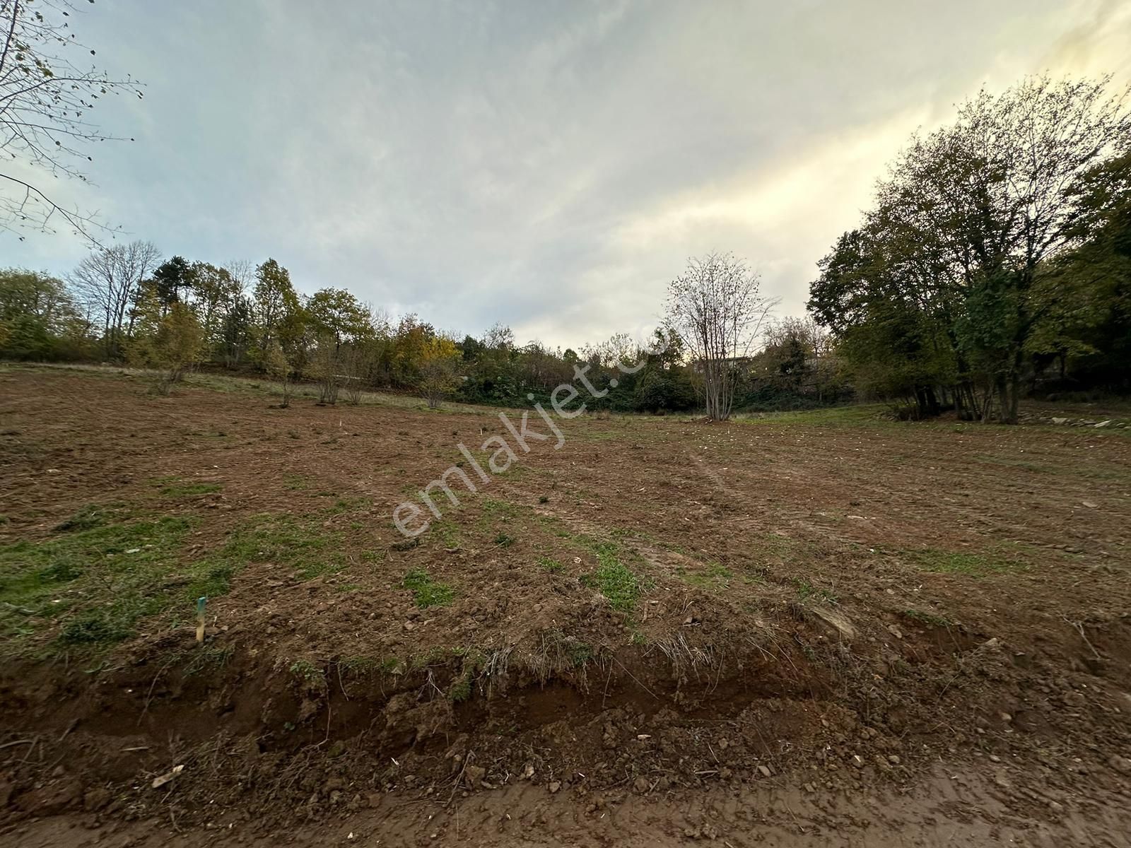 Dialog Altun'dan Kestel/derekızık 374 M2 Hobi Bahçesi - Görsel 4