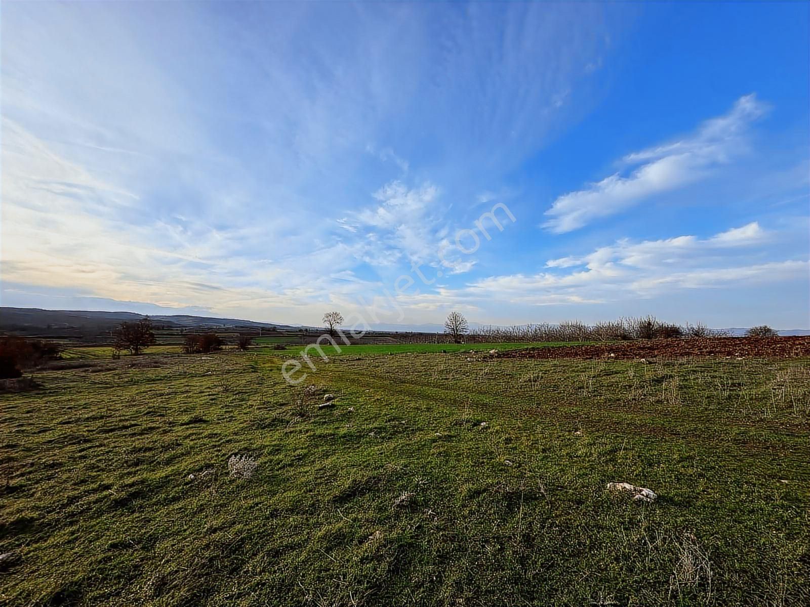 Dialog Altun'dan Yenişehir/akbıyık 900 M2 Hobi Bahçesi - Görsel 16