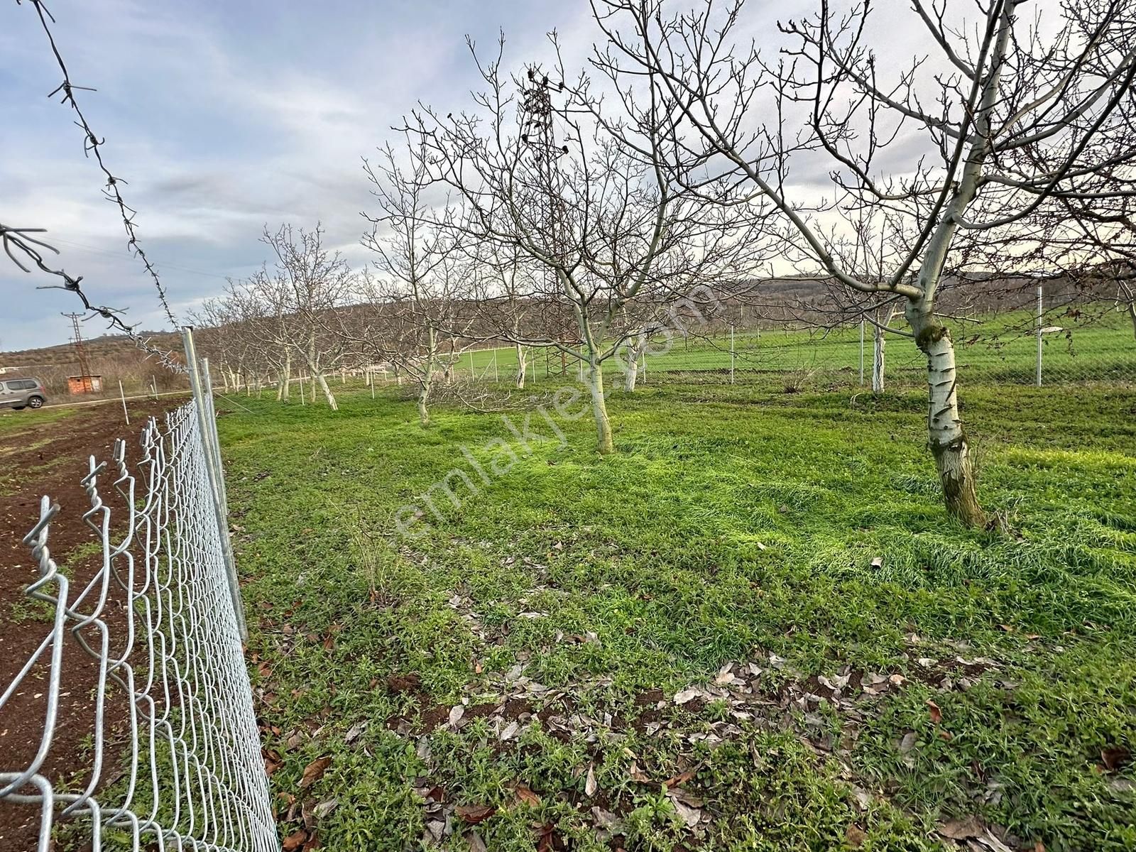 Dialog Altun'dan Yenişehir/akbıyık 316 M2 Hobi Bahçesi - Görsel 3