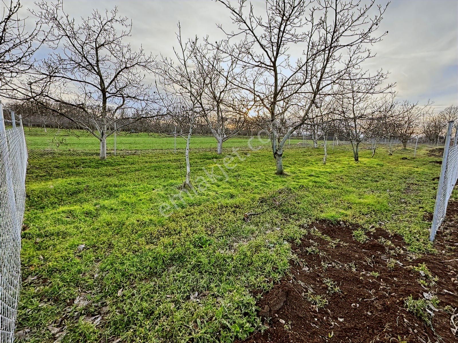 Dialog Altun'dan Yenişehir/akbıyık 316 M2 Hobi Bahçesi - Görsel 4