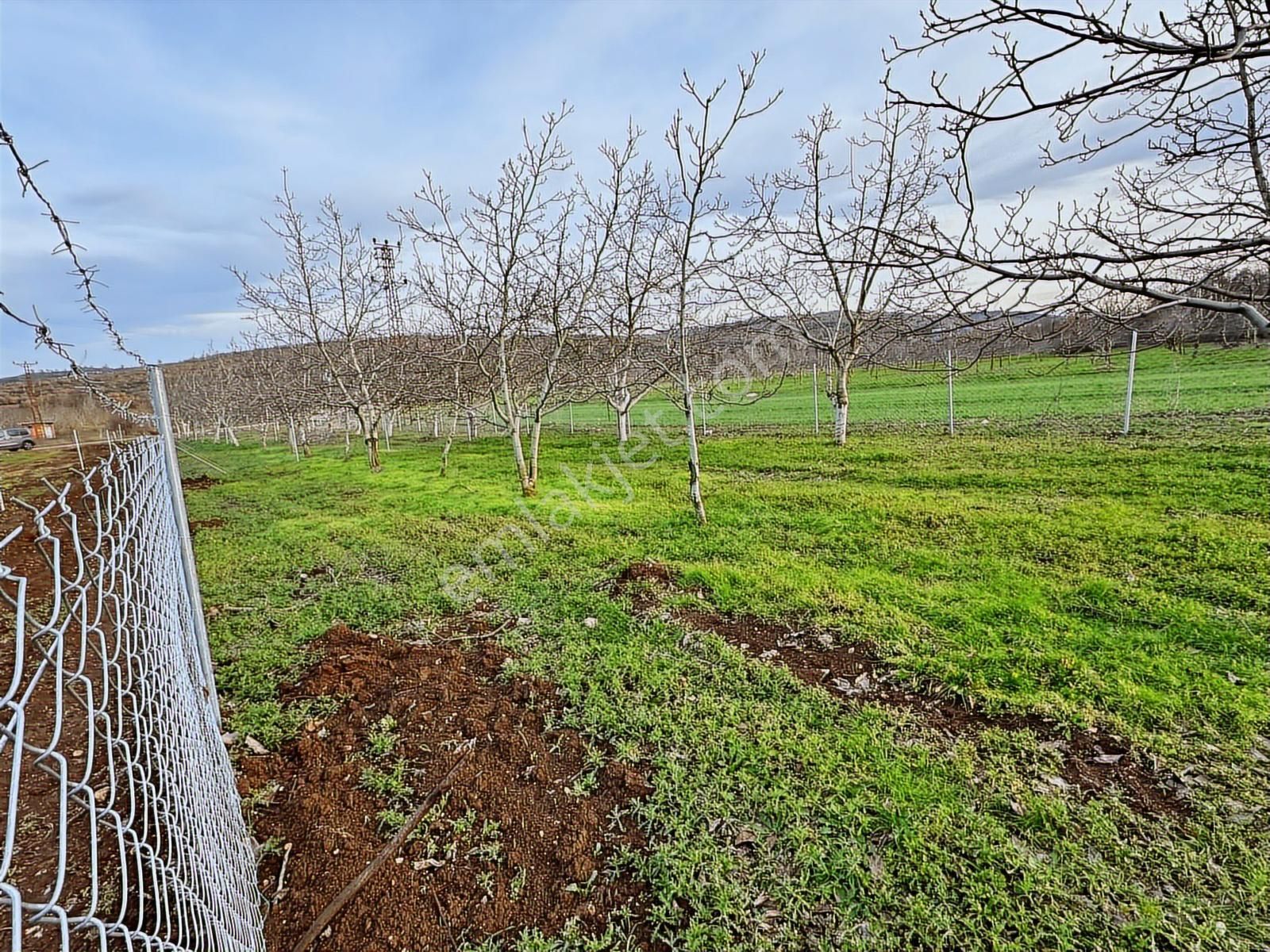 Dialog Altun'dan Yenişehir/akbıyık 316 M2 Hobi Bahçesi - Görsel 6