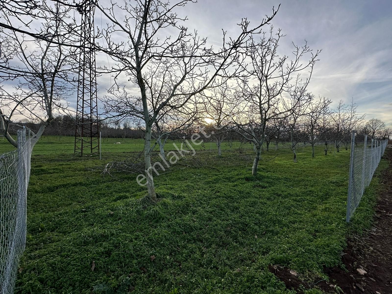 Dialog Altun'dan Yenişehir/akbıyık 316 M2 Hobi Bahçesi - Görsel 7