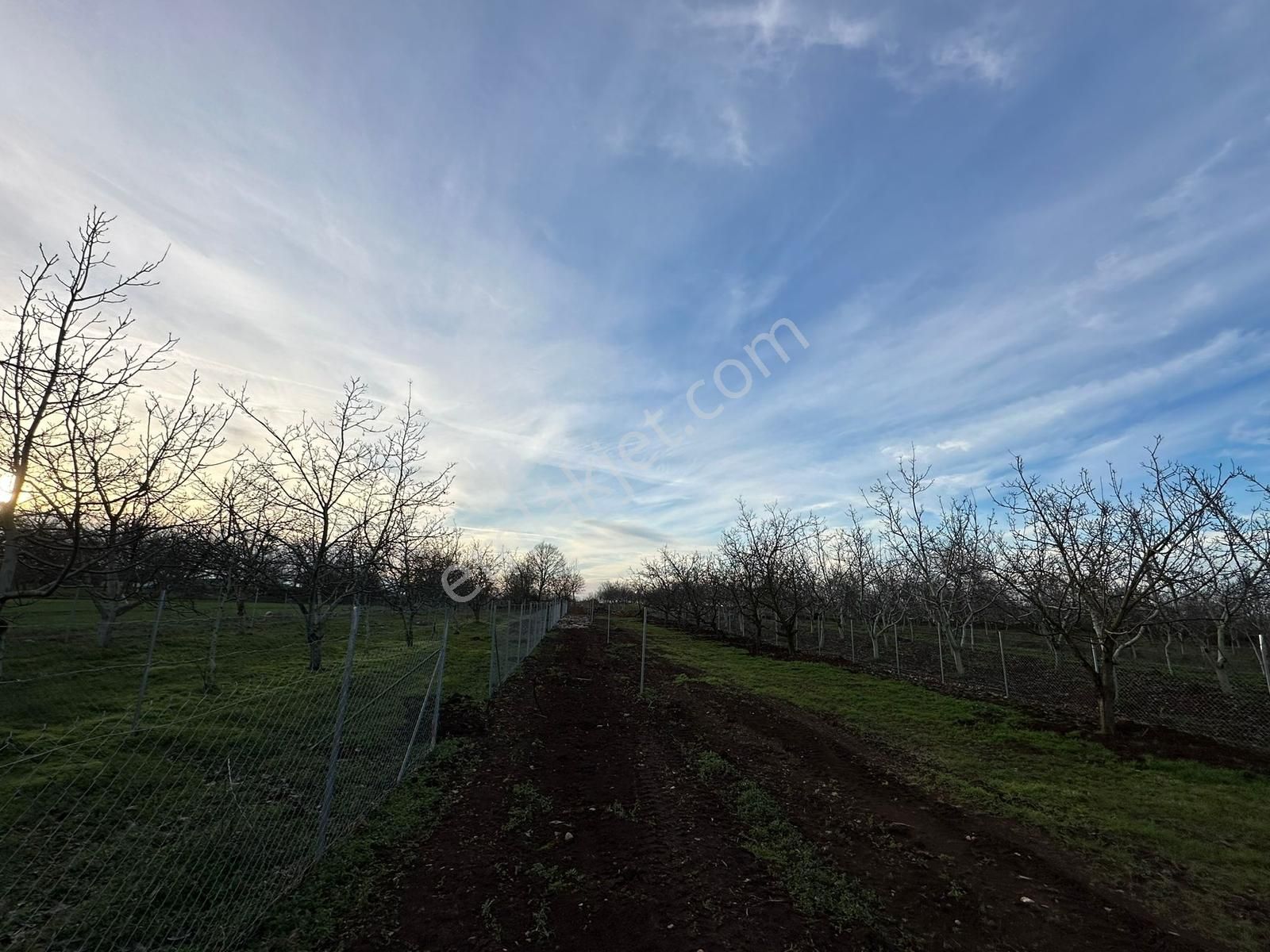 Dialog Altun'dan Yenişehir/akbıyık 316 M2 Hobi Bahçesi - Görsel 2