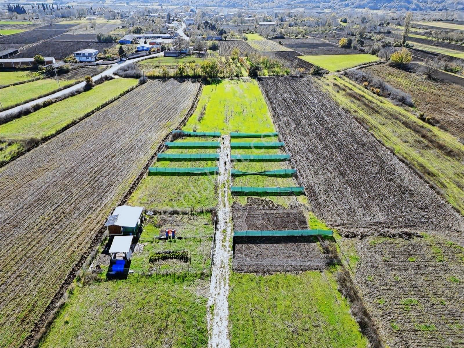 Dialog Altun'dan Melik'te Fırsat Hobi Bahçesi Son Parseller