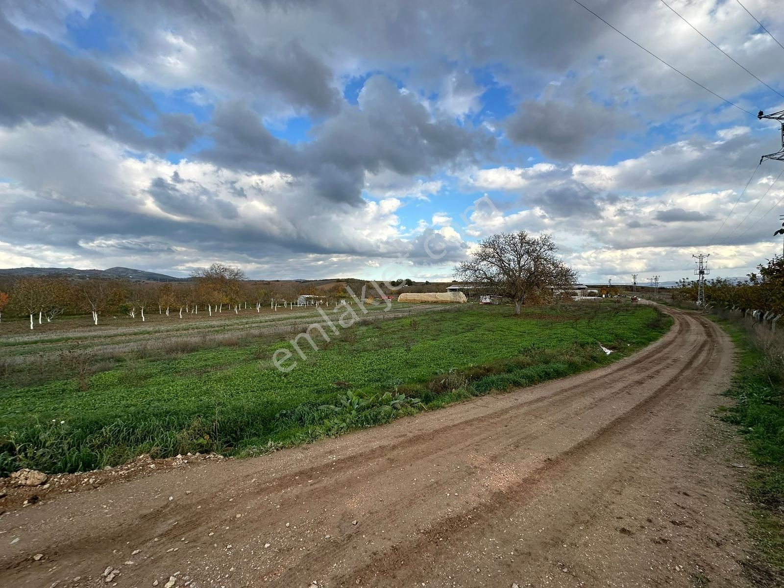 Dialog Altun'dan Yenişehir/barcın 3731 M2 Tarla - Görsel 7