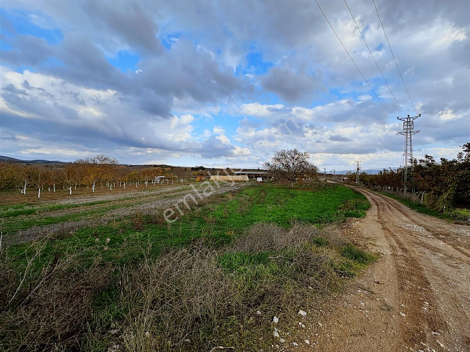 Dialog Altun'dan Yenişehir/barcın 3731 M2 Tarla - Görsel 5