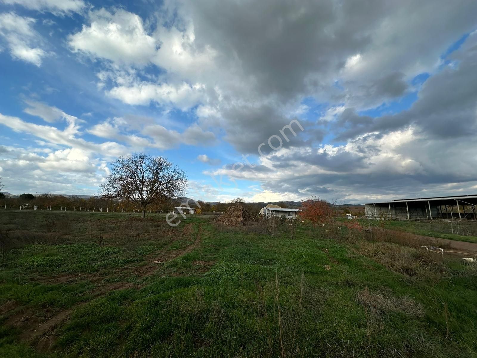 Dialog Altun'dan Yenişehir/barcın 3731 M2 Tarla - Görsel 12