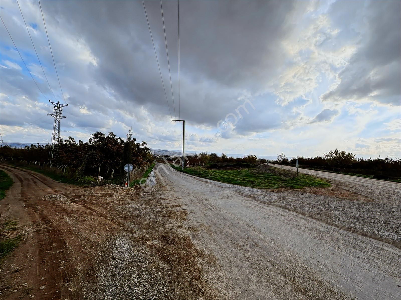 Dialog Altun'dan Yenişehir/barcın 3731 M2 Tarla - Görsel 10