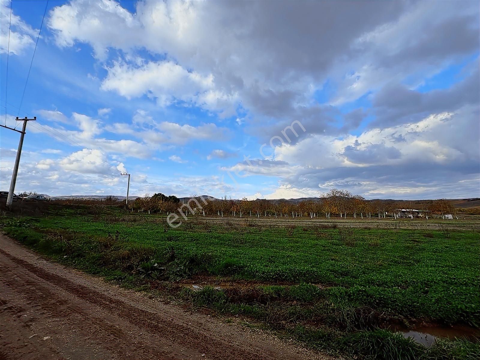 Dialog Altun'dan Yenişehir/barcın 3731 M2 Tarla - Görsel 8