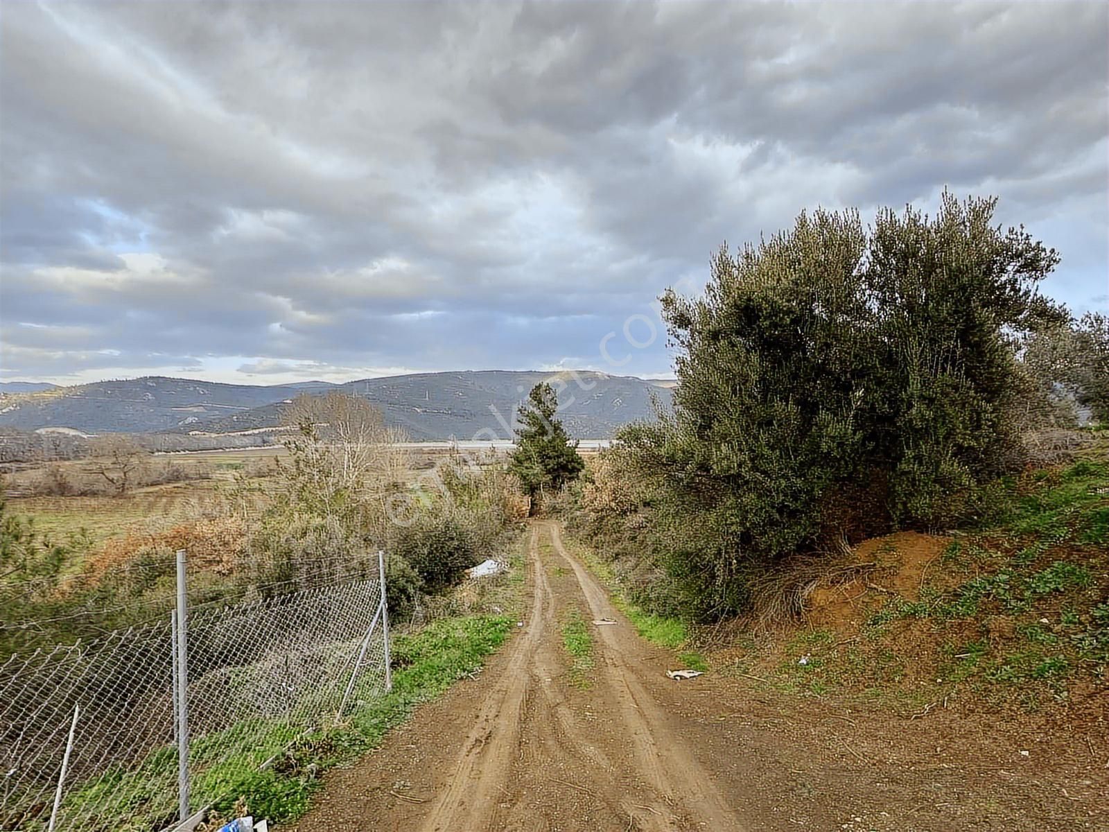 Dialog Altun'dan Kestel/dudaklı 3.000 M2 Asfalta Cephe Tarla - Görsel 13