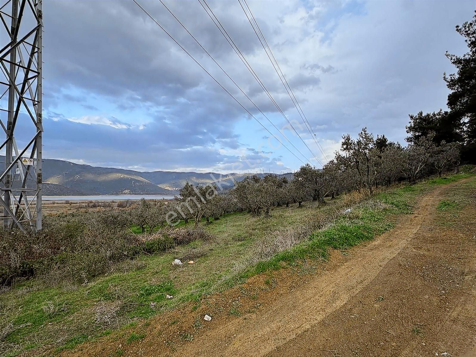 Dialog Altun'dan Kestel/dudaklı 3.000 M2 Asfalta Cephe Tarla - Görsel 7