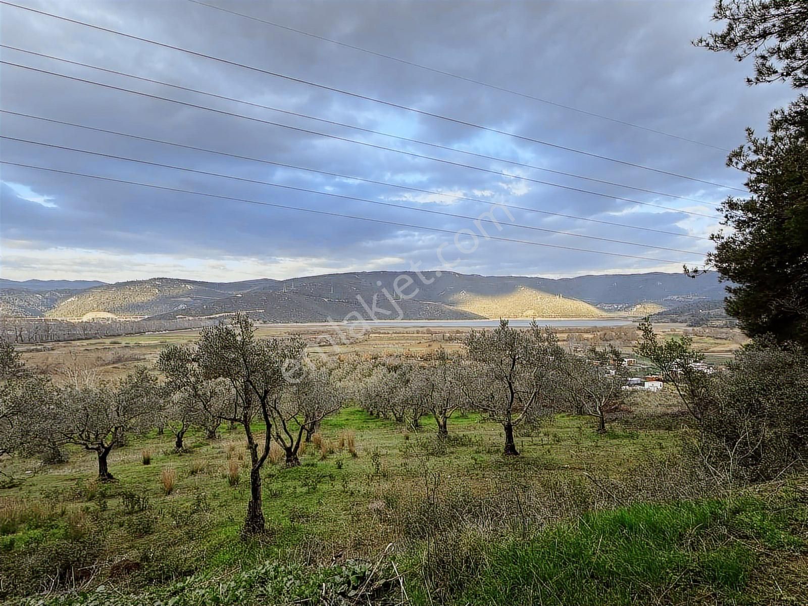 Dialog Altun'dan Kestel/dudaklı 3.000 M2 Asfalta Cephe Tarla - Görsel 2