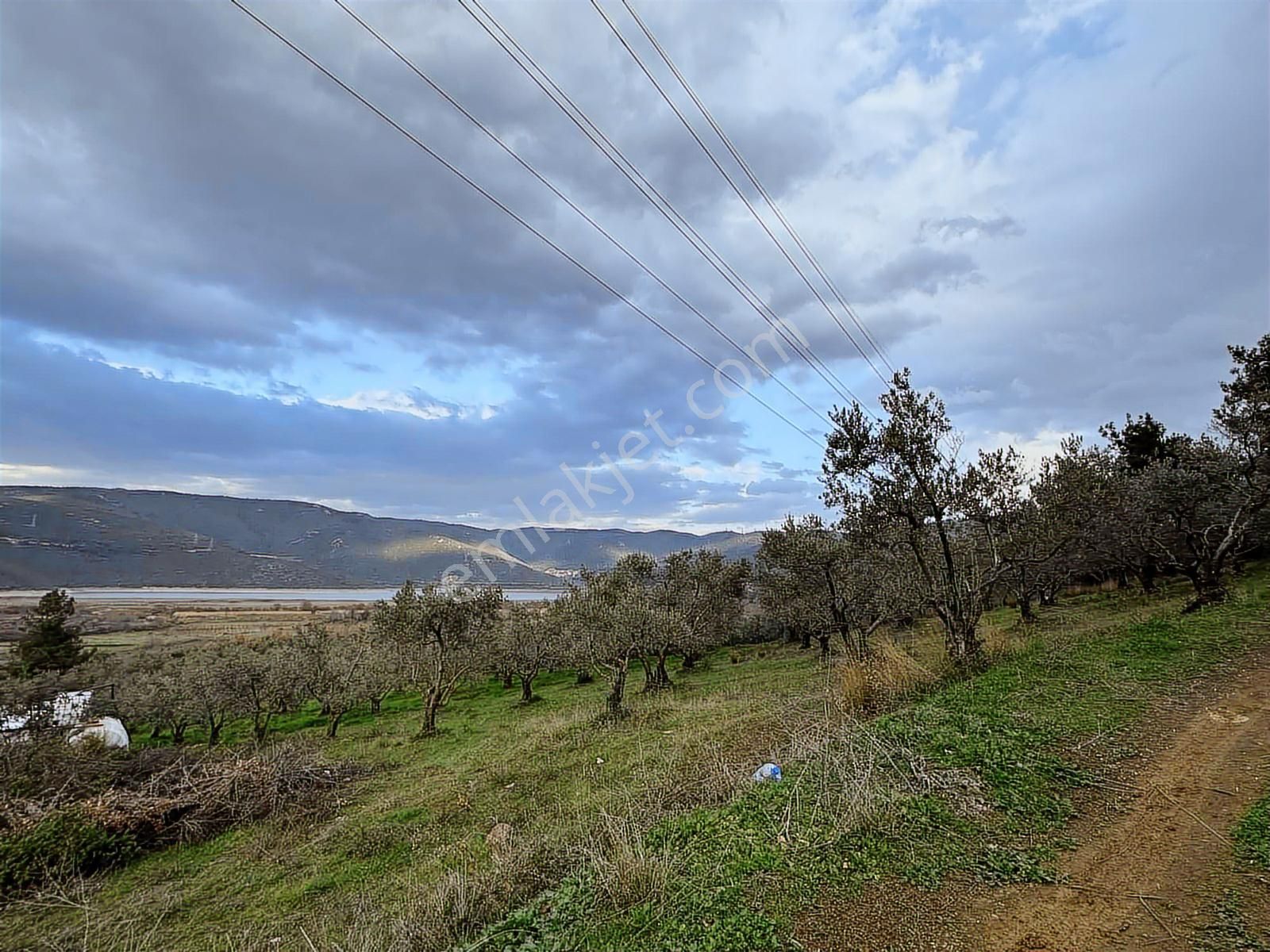 Dialog Altun'dan Kestel/dudaklı 3.000 M2 Asfalta Cephe Tarla - Görsel 10