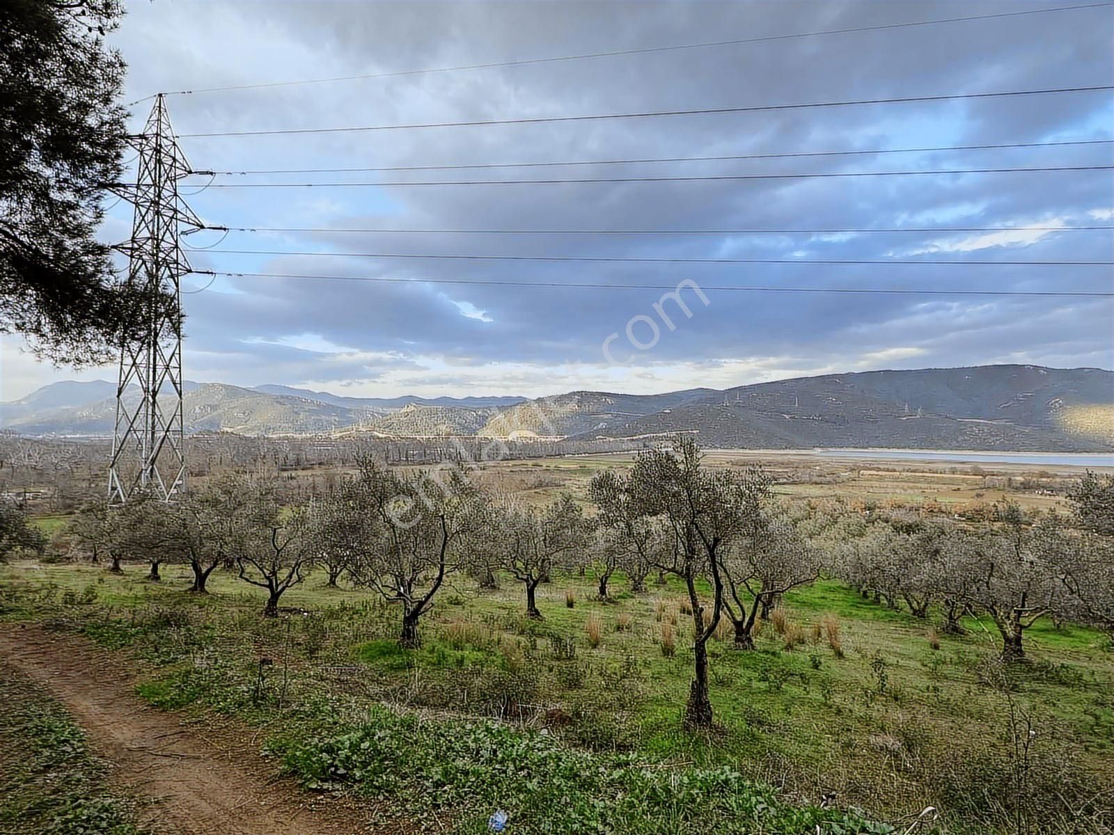 Dialog Altun'dan Kestel/dudaklı 3.000 M2 Asfalta Cephe Tarla - Görsel 15