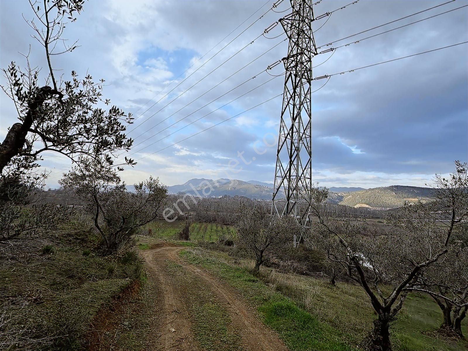 Dialog Altun'dan Kestel/dudaklı 3.000 M2 Asfalta Cephe Tarla - Görsel 9