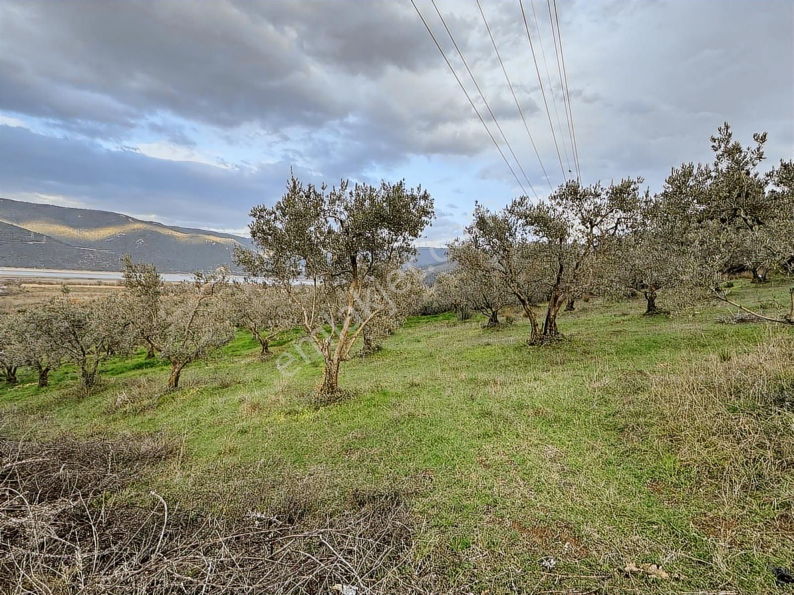 Dialog Altun'dan Kestel/dudaklı 3.000 M2 Asfalta Cephe Tarla - Görsel 6