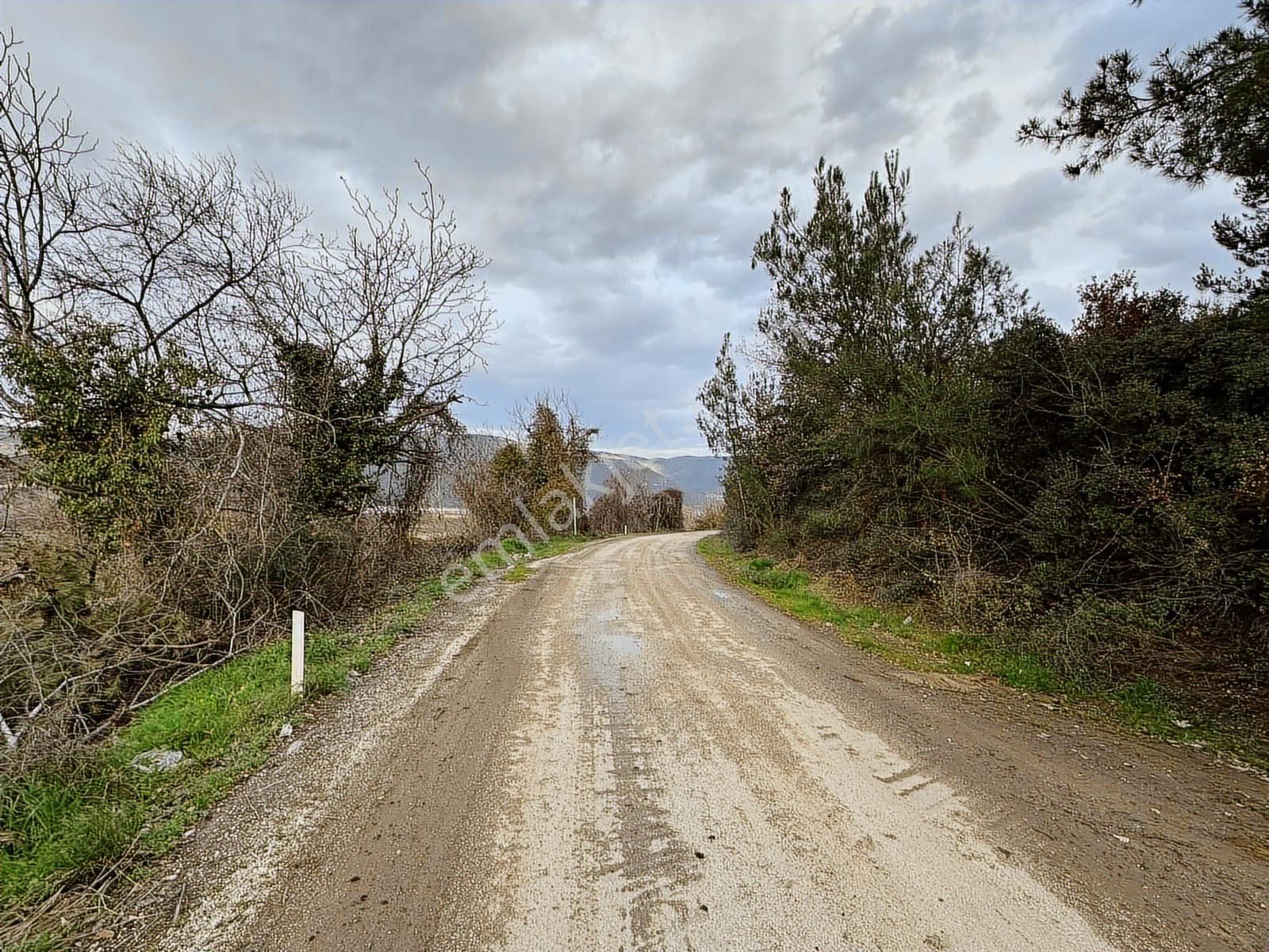 Dialog Altun'dan Kestel/dudaklı 3.000 M2 Asfalta Cephe Tarla - Görsel 3