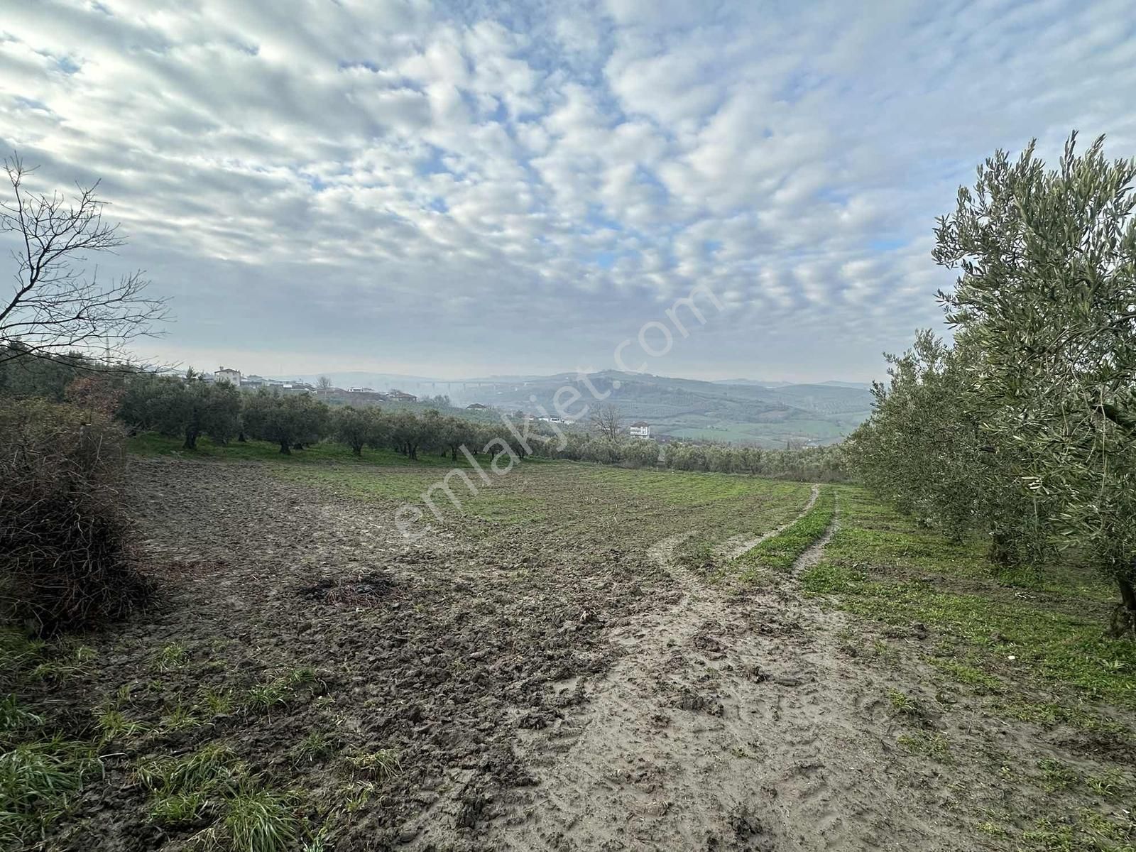 Dialog Altun'dan Konaklı'da İmara Sınır Tarla - Görsel 7