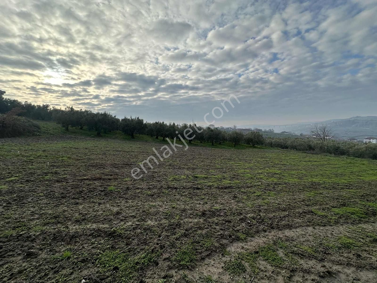 Dialog Altun'dan Konaklı'da İmara Sınır Tarla - Görsel 4