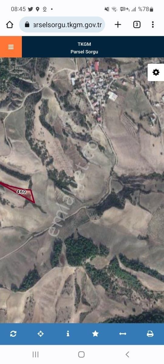 Hem Yatırımlık Hem Hobi Bahçesi Sögütlü De 283 M2 Satılık Hisse