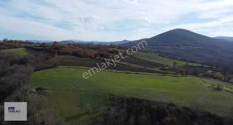 Derekadı Satılık Arazi 6500 M2 - Görsel 4