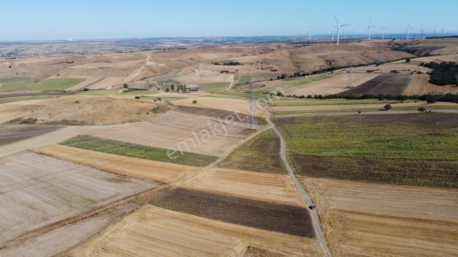 Silivri Değirmenköy Kadastral Yola Cephe 4.190 M2 Satılık Tarla - Görsel 7