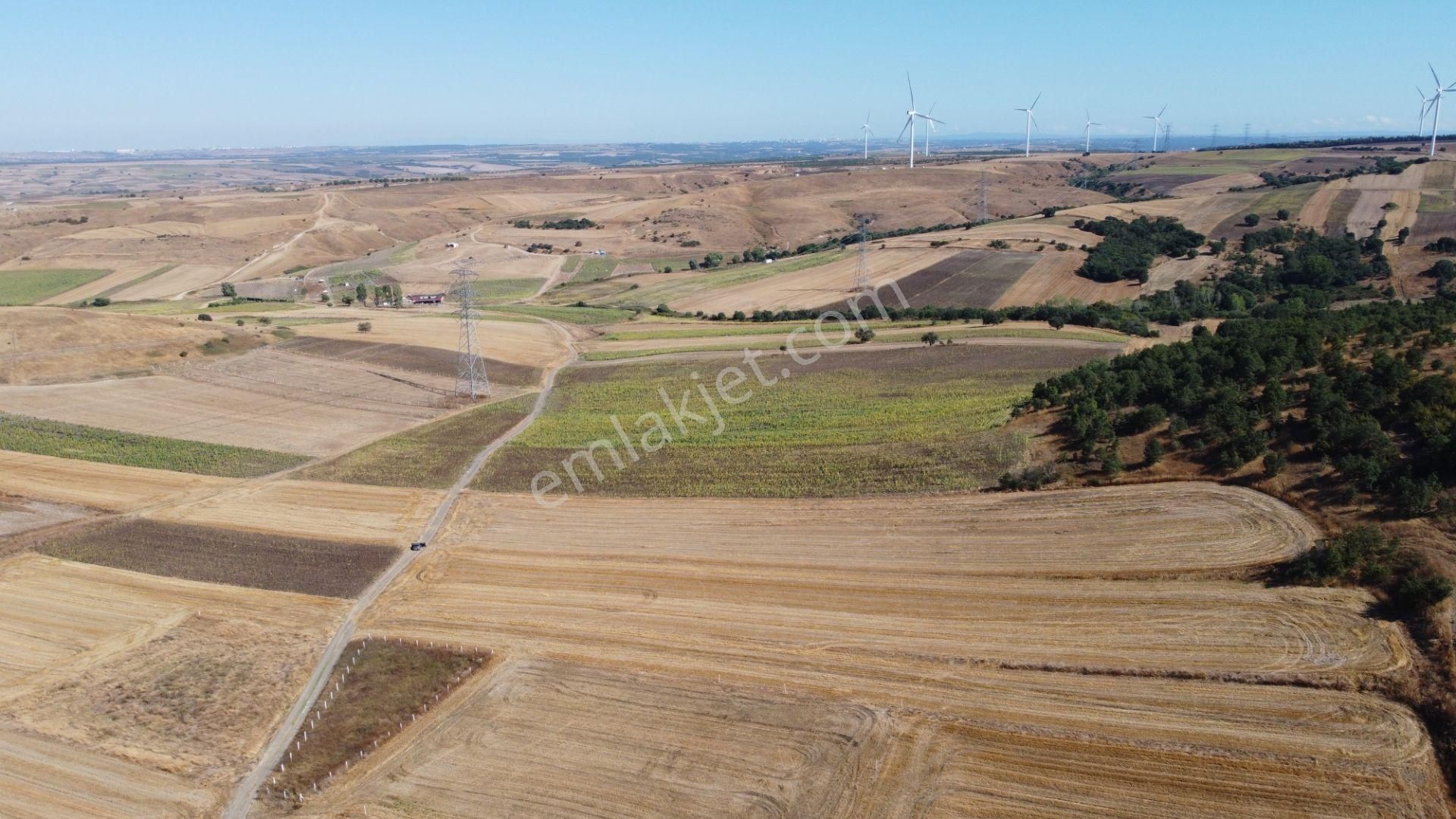 Silivri Değirmenköy Kadastral Yola Cephe 4.190 M2 Satılık Tarla - Görsel 8