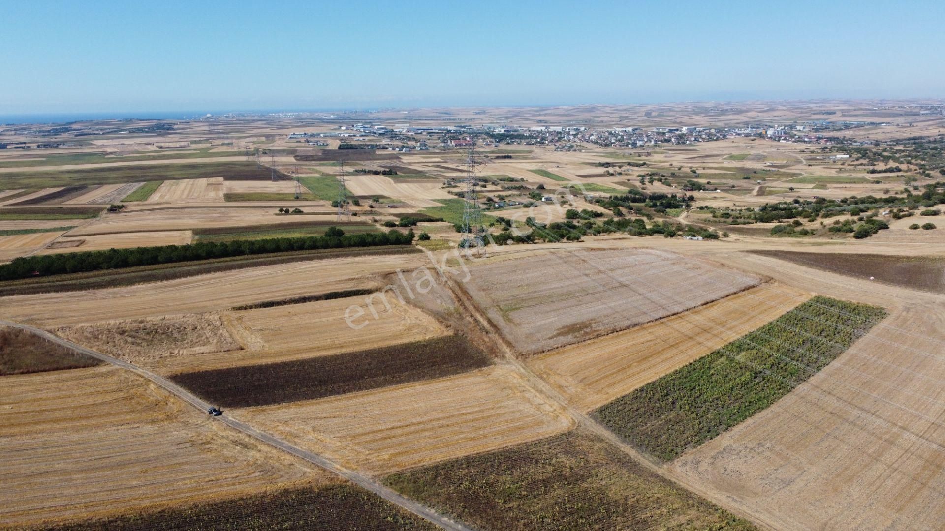 Silivri Değirmenköy Kadastral Yola Cephe 4.190 M2 Satılık Tarla - Görsel 11