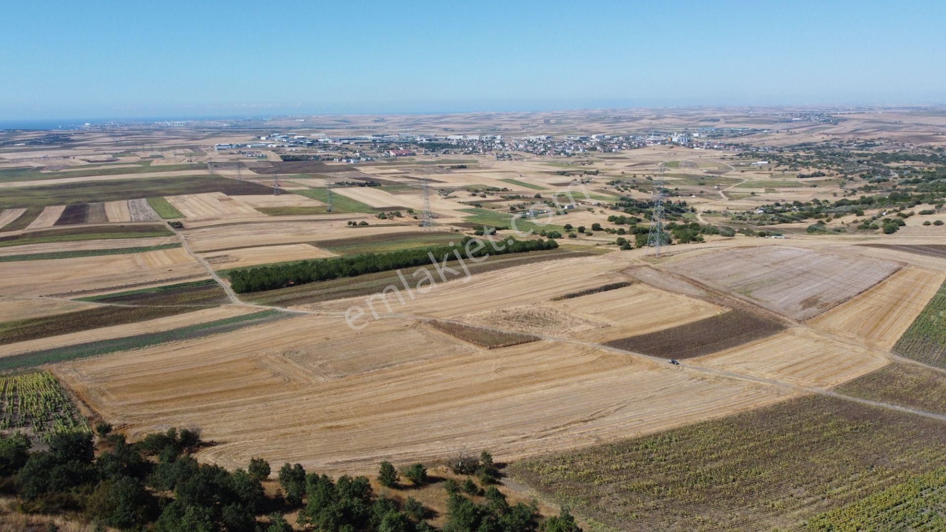 Silivri Değirmenköy Kadastral Yola Cephe 4.190 M2 Satılık Tarla - Görsel 17