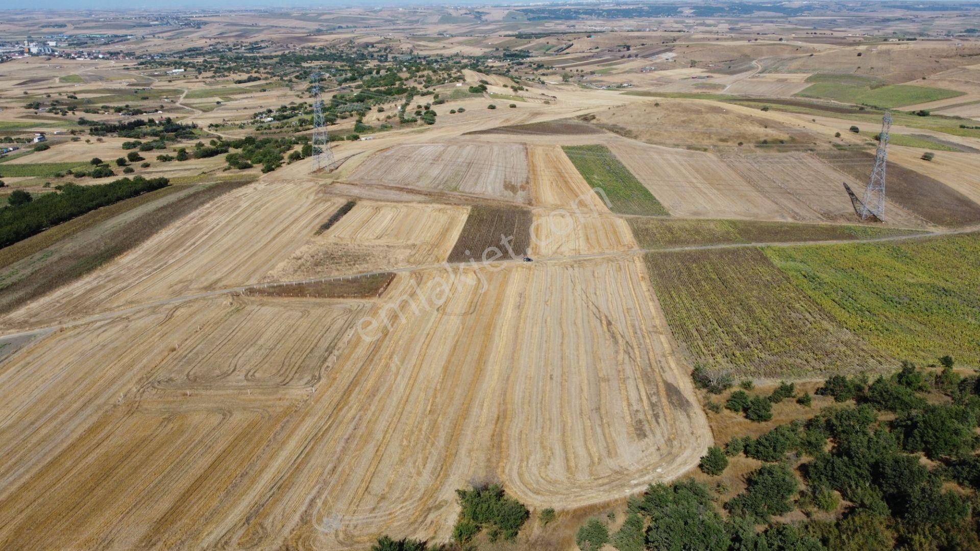 Silivri Değirmenköy Kadastral Yola Cephe 4.190 M2 Satılık Tarla - Görsel 13