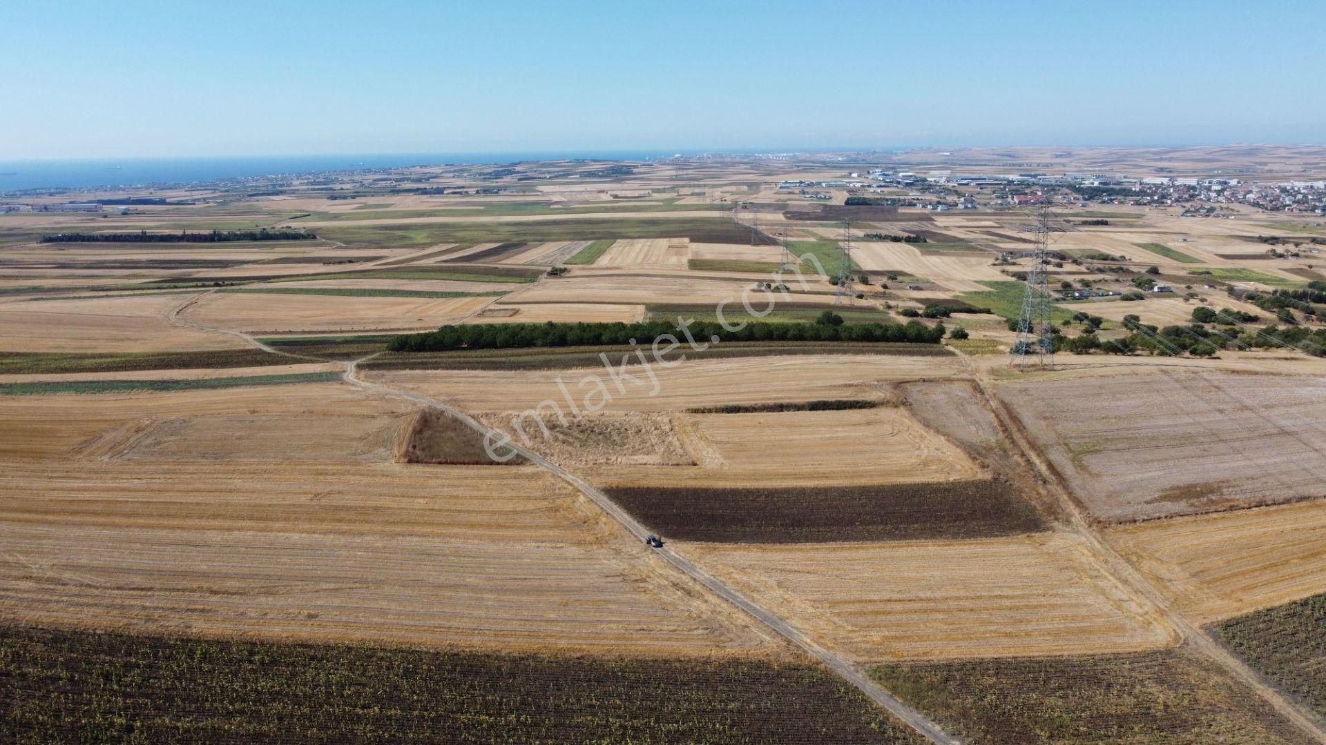 Silivri Değirmenköy Kadastral Yola Cephe 4.190 M2 Satılık Tarla - Görsel 12