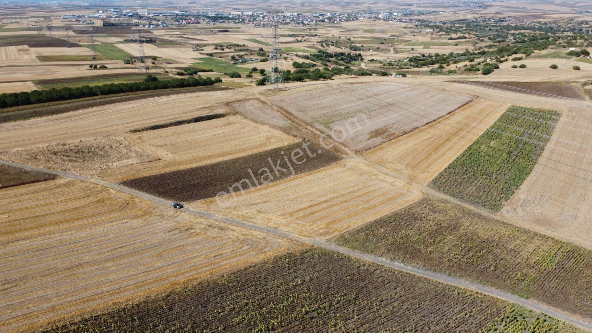 Silivri Değirmenköy Kadastral Yola Cephe 4.190 M2 Satılık Tarla - Görsel 15