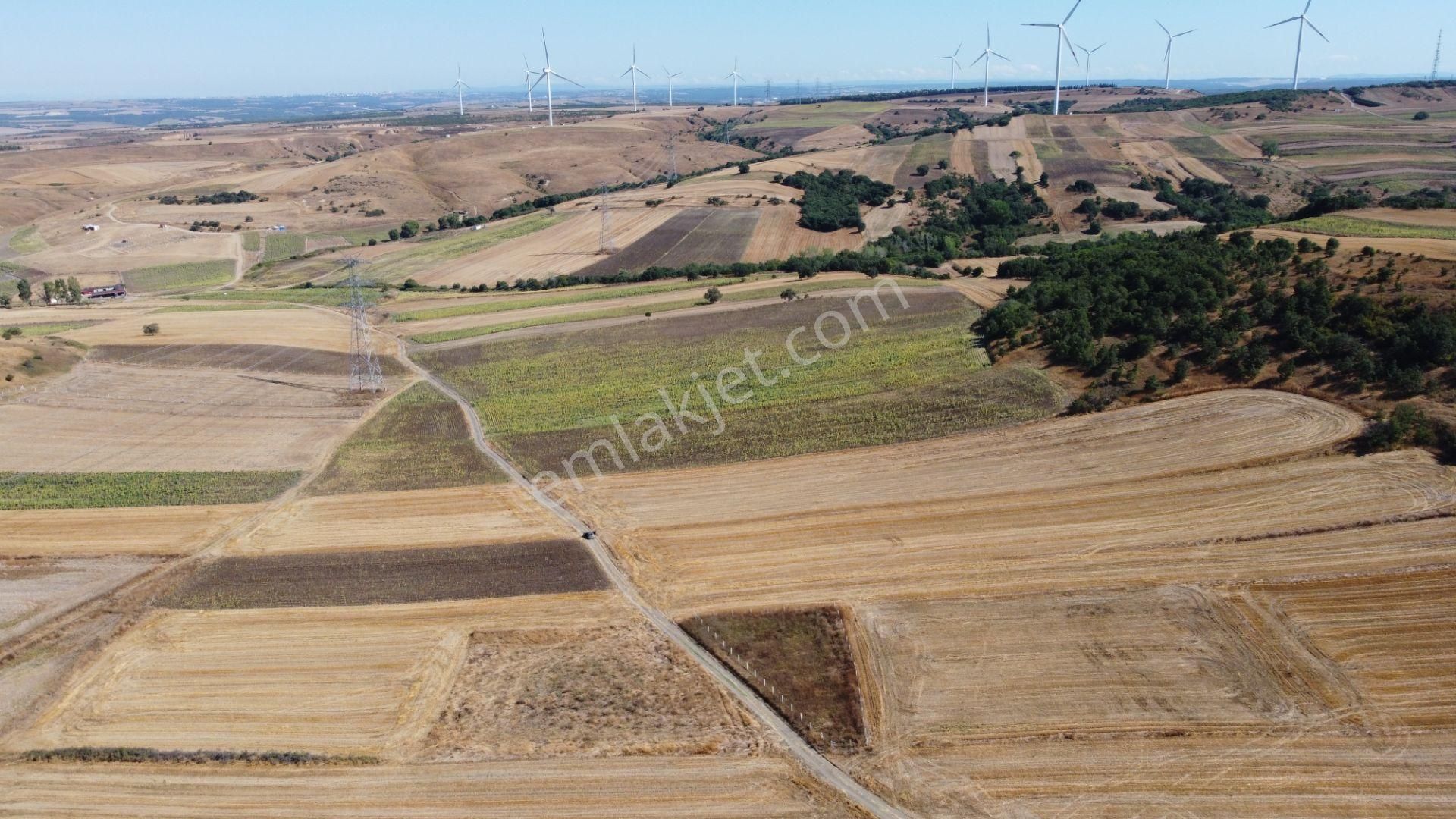 Silivri Değirmenköy Kadastral Yola Cephe 4.190 M2 Satılık Tarla - Görsel 10