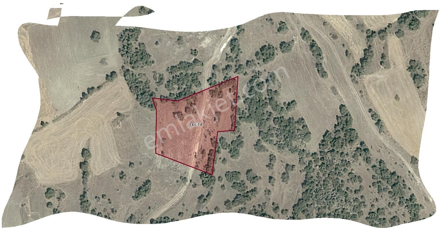 Özpınar,dan Hayvancılık İçin Uyğun Yolu Var 3533 M2 Tarla