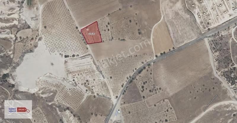 Seyitoğulları Tohumculuğun Arkasında 2706 M2 Satılık Arazi - Görsel 4