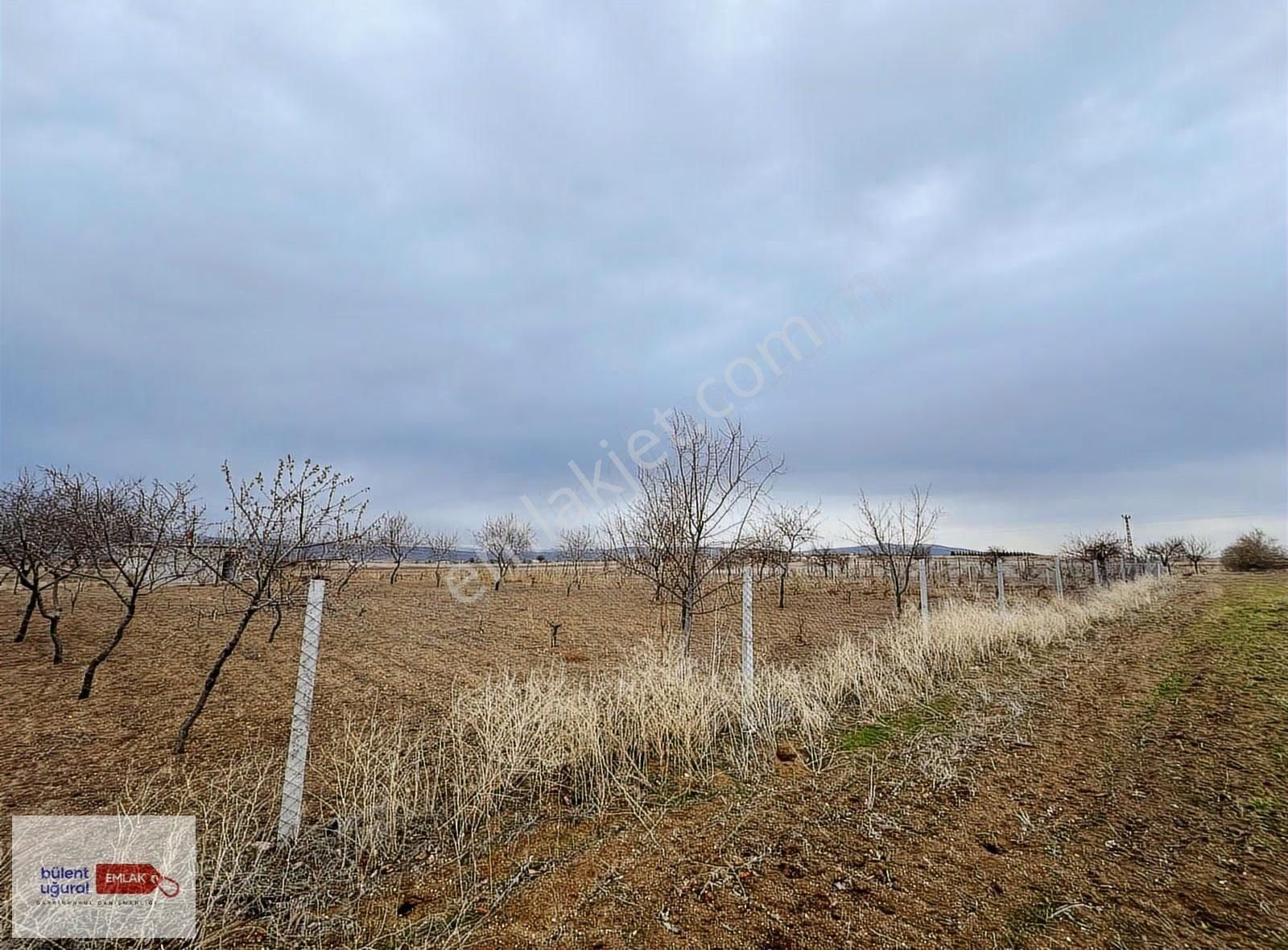 Seyitoğulları Tohumculuğun Arkasında 2706 M2 Satılık Arazi - Görsel 20