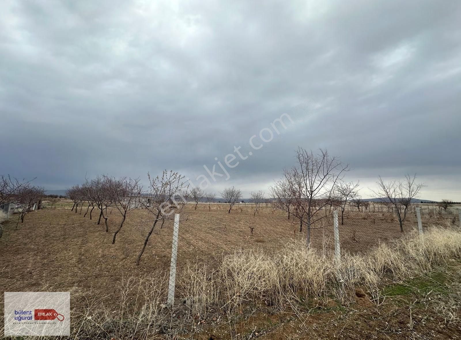 Seyitoğulları Tohumculuğun Arkasında 2706 M2 Satılık Arazi - Görsel 12