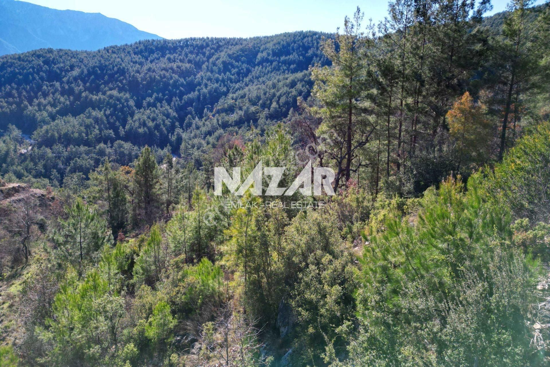 Alanya Üzümlü’de 3.455 M² Satılık Tarla - Görsel 10