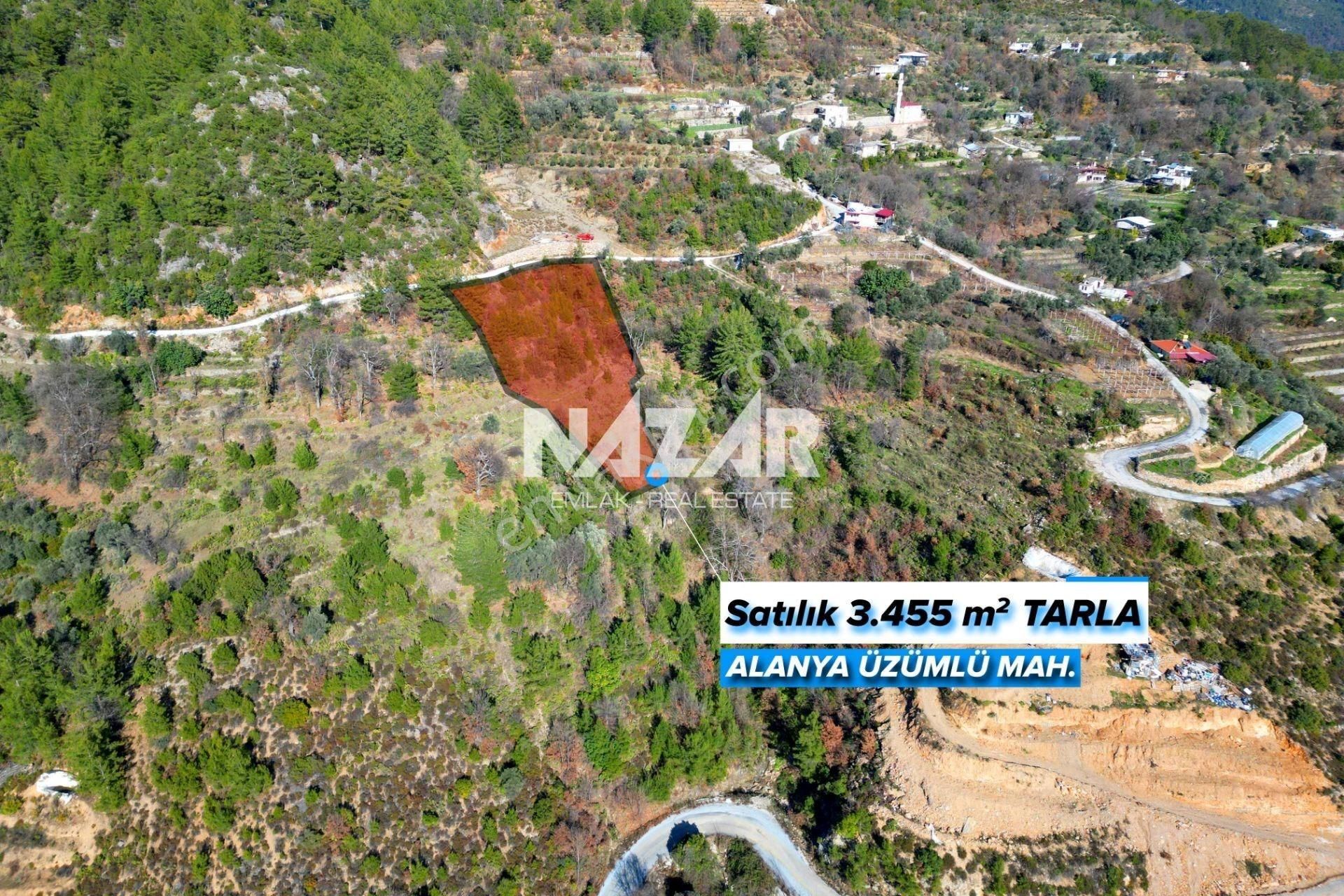 Alanya Üzümlü’de 3.455 M² Satılık Tarla - Görsel 2