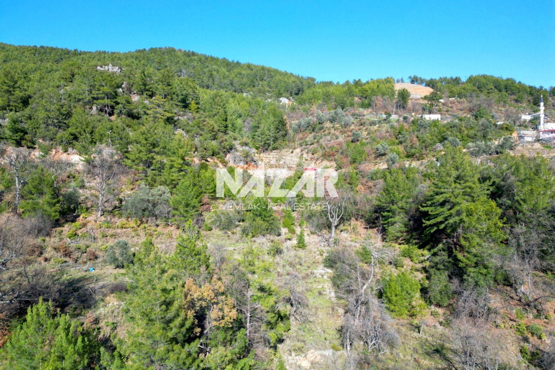 Alanya Üzümlü’de 3.455 M² Satılık Tarla - Görsel 6