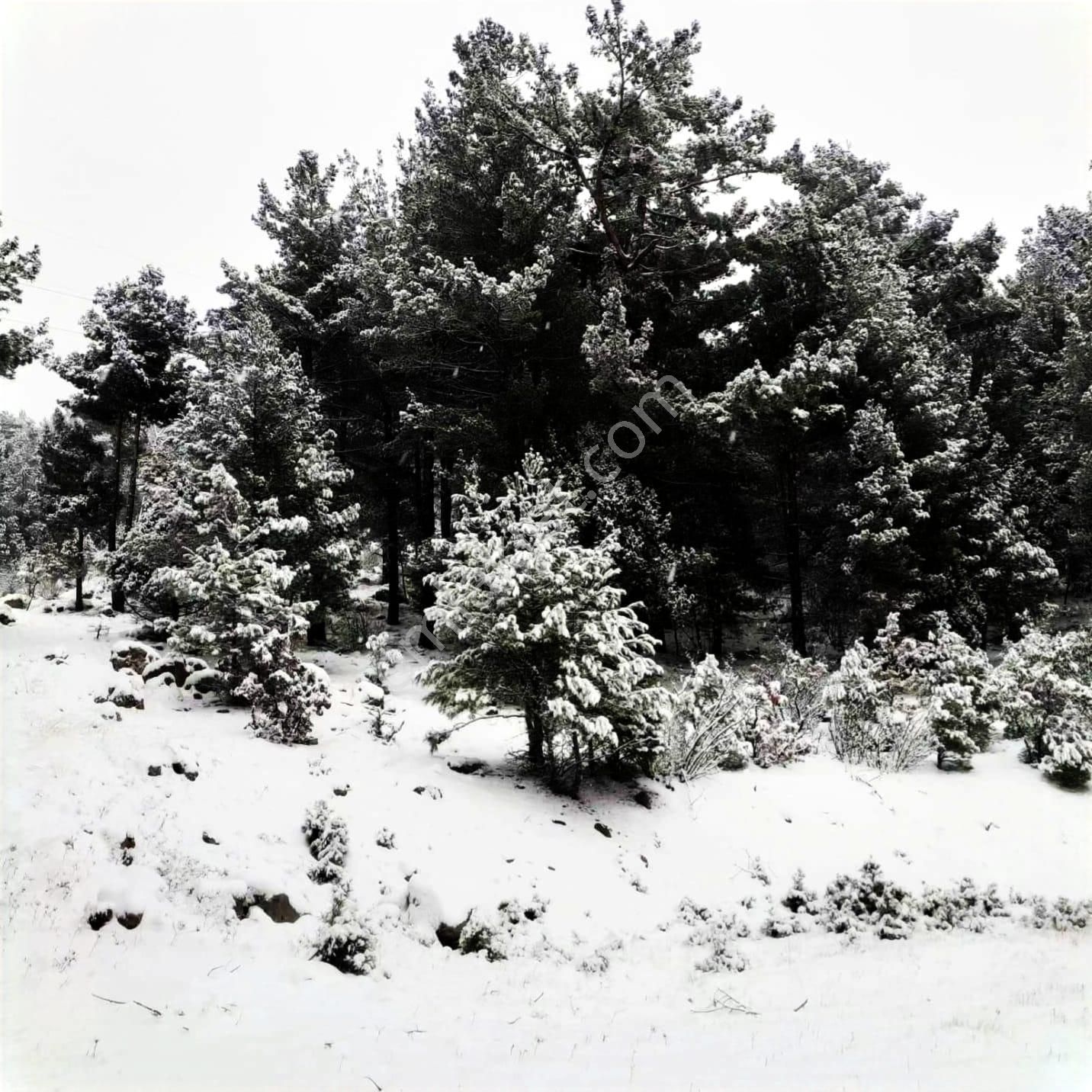 Kar Emlaktan Gökbez Yaylasında 10 Dönüm Satılık Tarla - Görsel 23