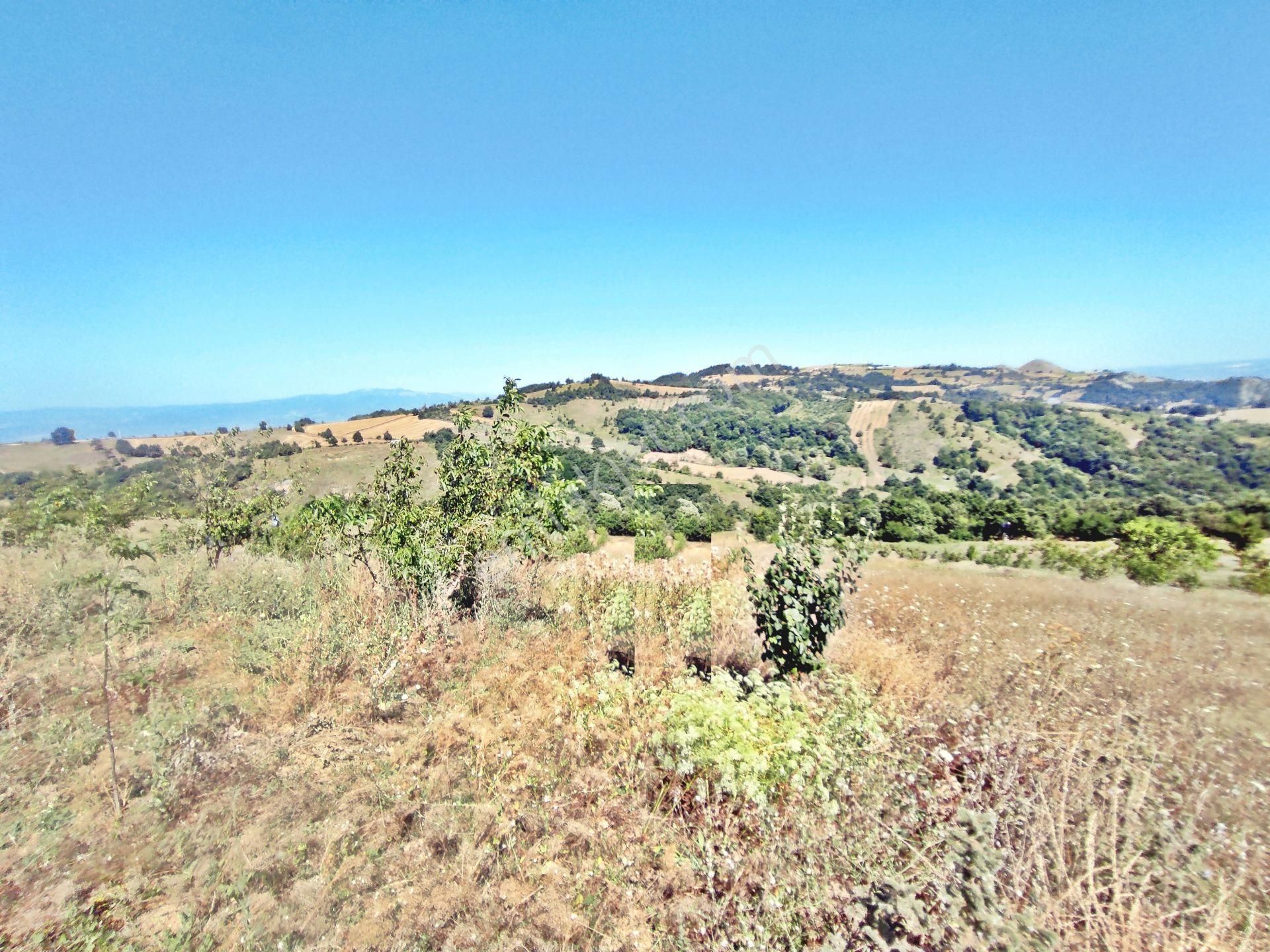 Yenişehir Kirazlı Yayala Da Doğa Manzaralı - 2378 -m2- Tarla - Görsel 10