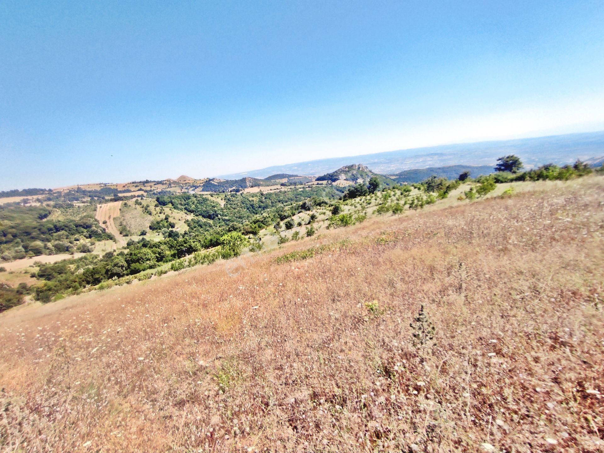 Yenişehir Kirazlı Yayala Da Doğa Manzaralı - 2378 -m2- Tarla - Görsel 4