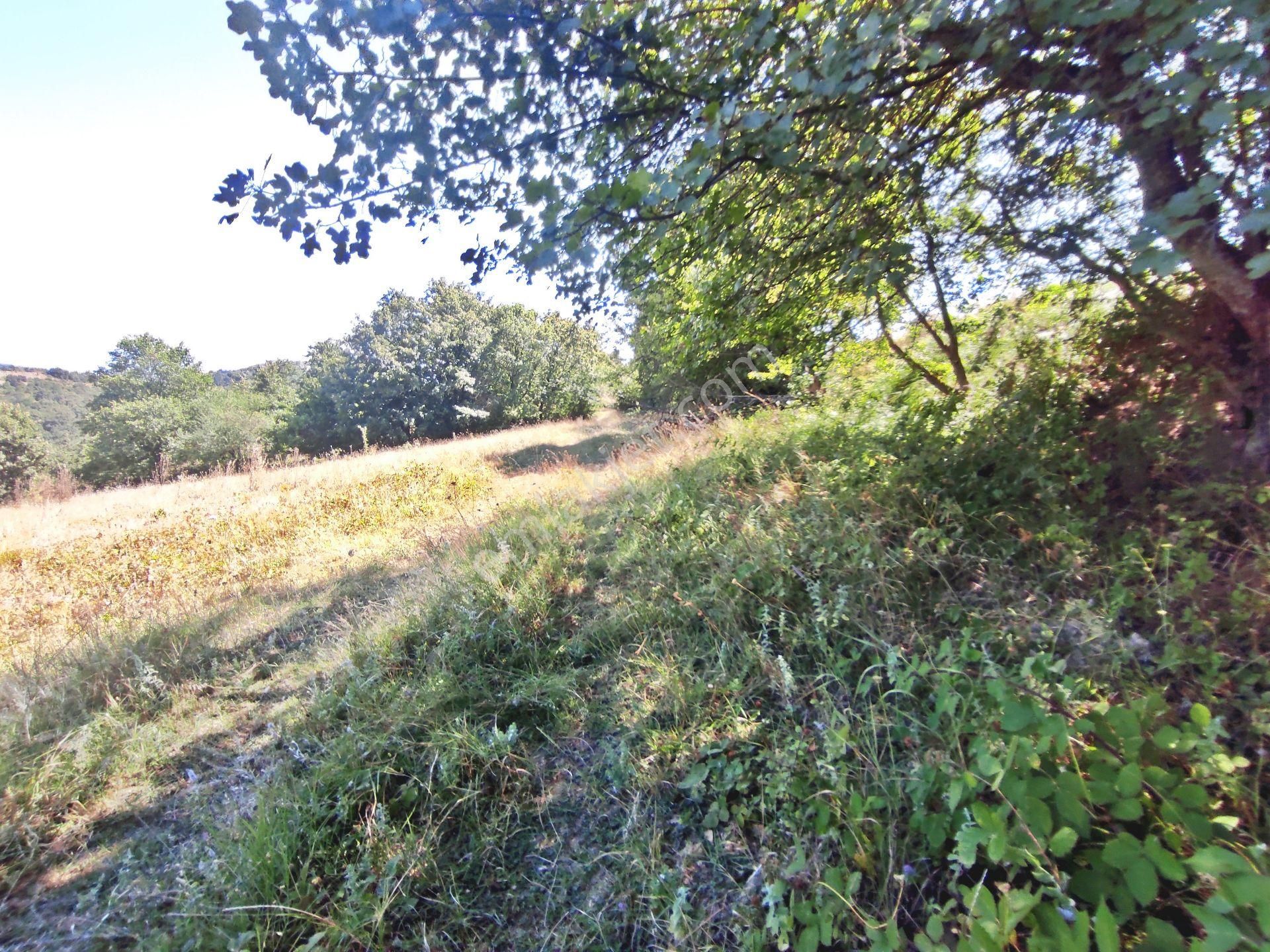 Yenişehir Kirazlı Yayala Da Doğa Manzaralı - 2378 -m2- Tarla - Görsel 25