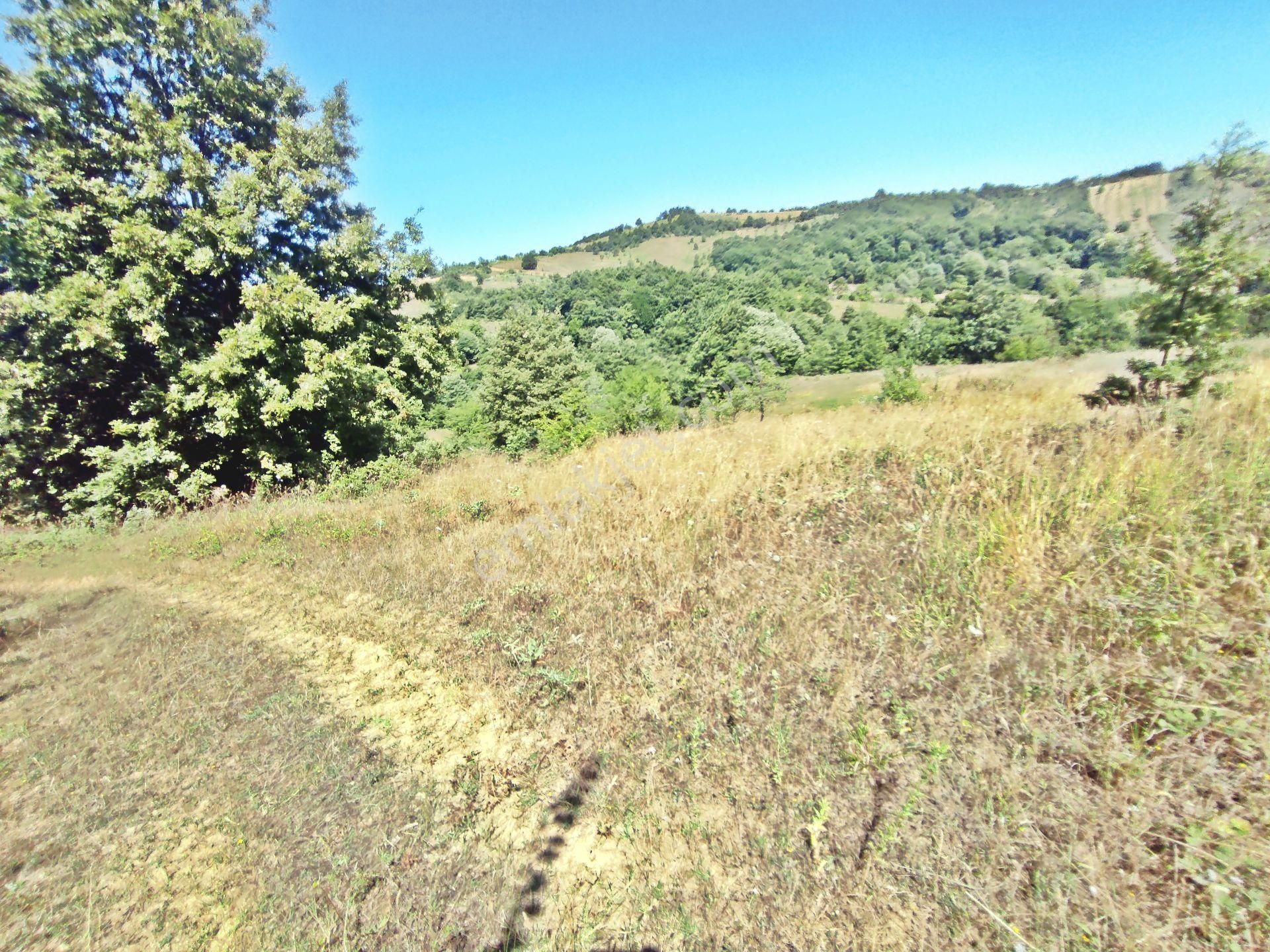 Yenişehir Kirazlı Yayala Da Doğa Manzaralı - 2378 -m2- Tarla - Görsel 16